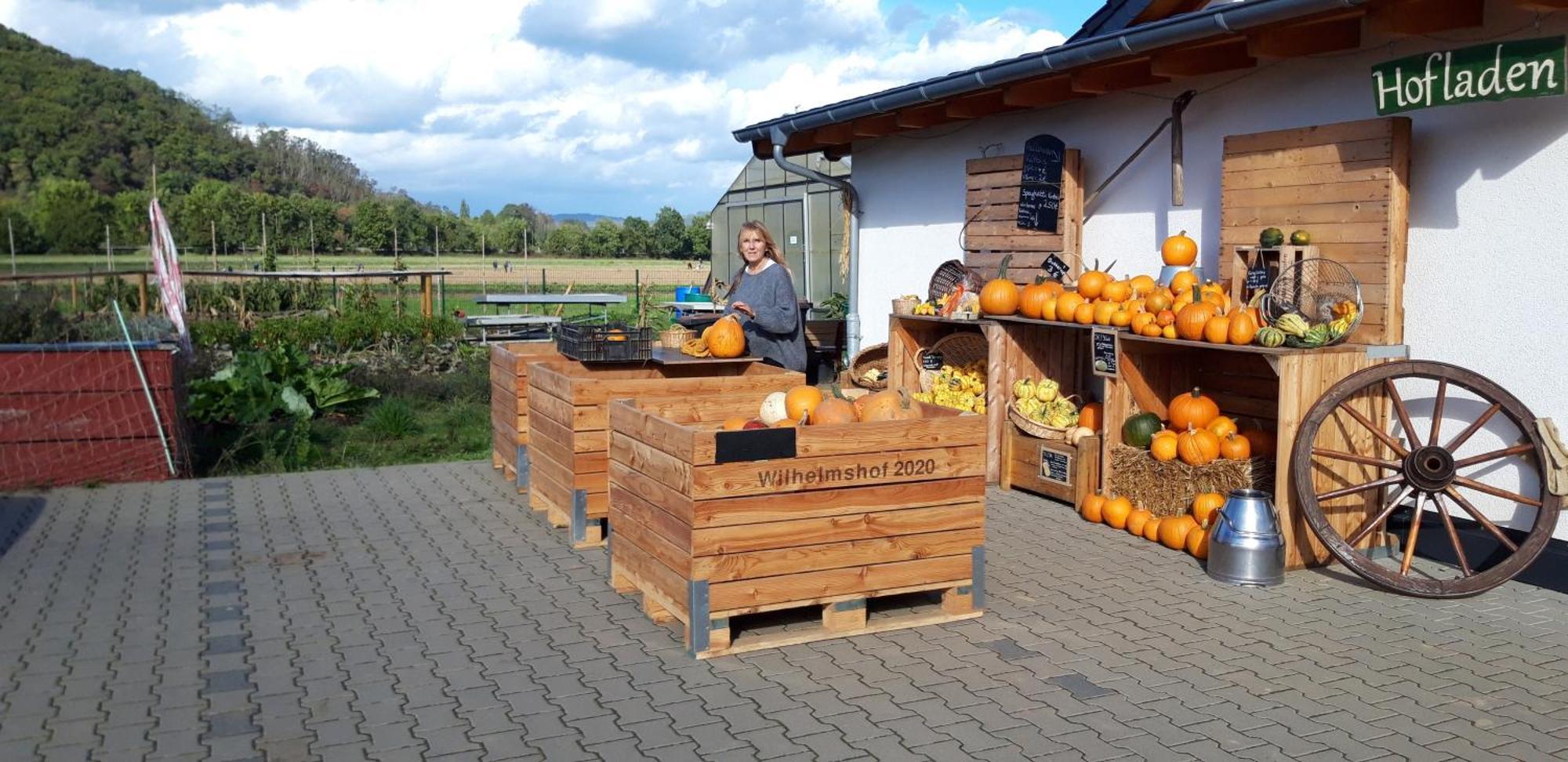 Ferienwohnung Wilhelmshof Sinzig Bagian luar foto