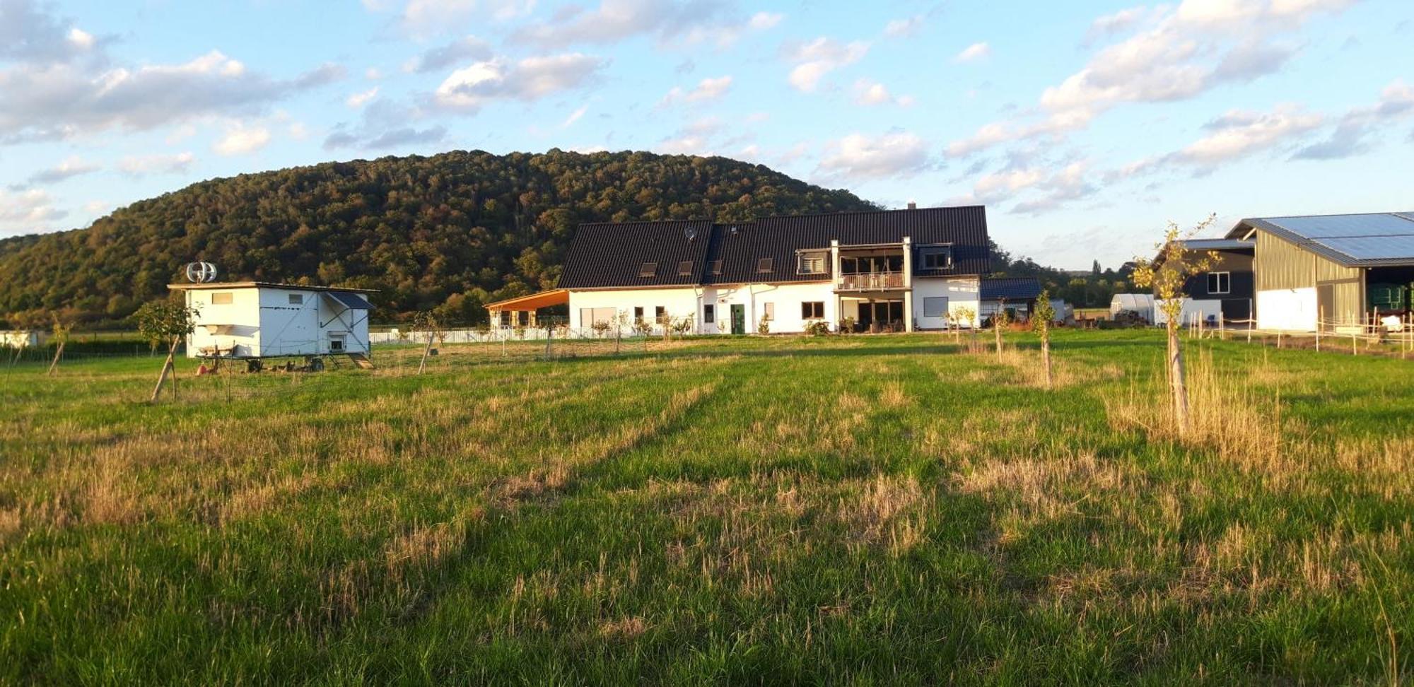 Ferienwohnung Wilhelmshof Sinzig Bagian luar foto